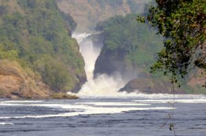 The best Murchison Falls Uganda safari tour