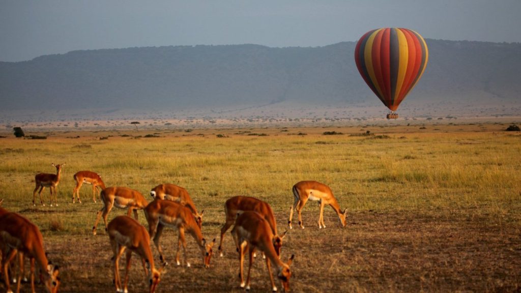 QUEEN ELIZABETH BALLOON safari tours on a Uganda Wild life safari tour