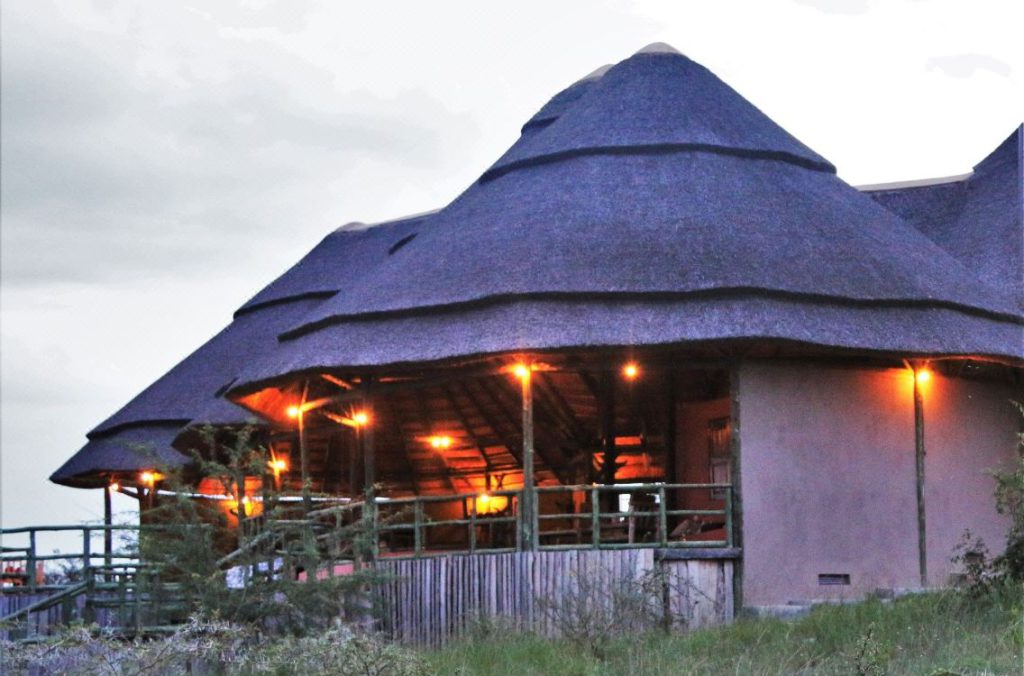 a raised grass thatched room with a canopy roof in Quuen Elizabeth National Park 