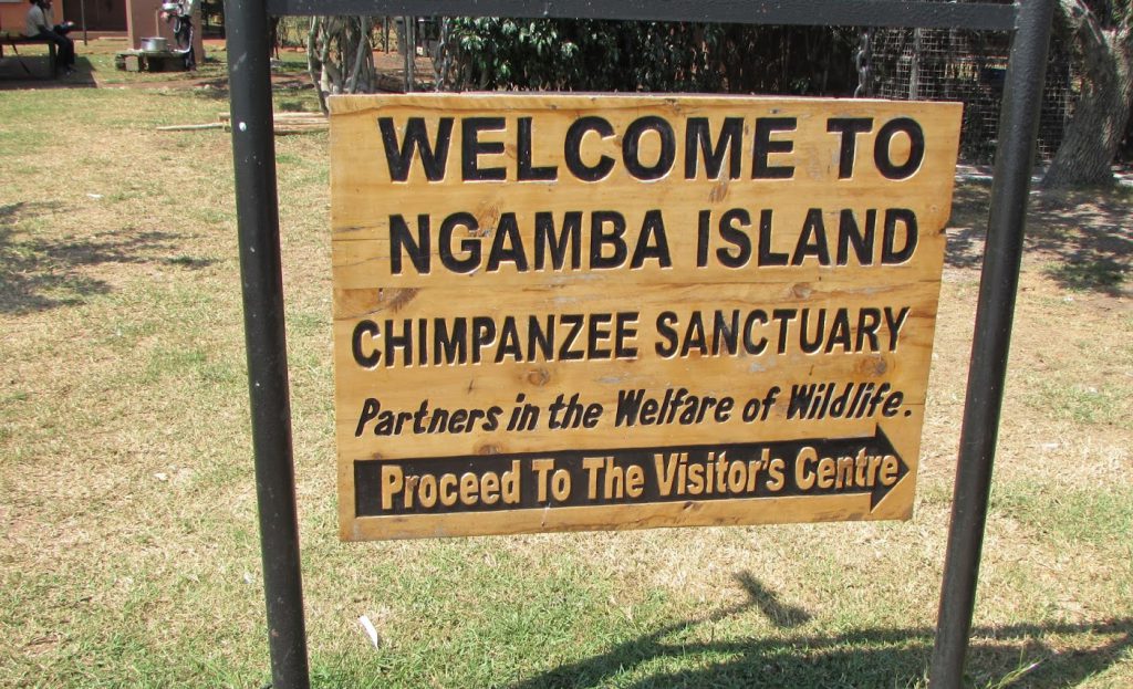 a sign post at ngamba island with the chimpanzee sanctuary description on it , with a direction telling visitors to proceed to the visitors centre
