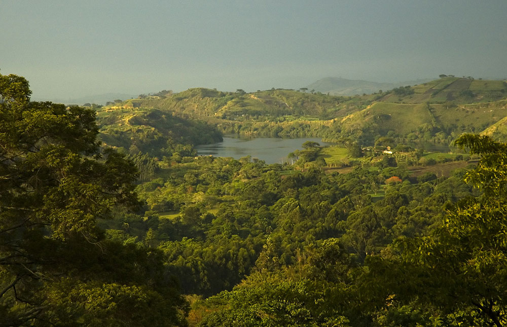 Kibale National Park view of the forest and one of the crater lakes