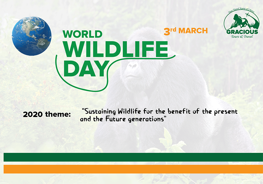 Uganda will celebrate world Wildlife Day 2020 in Kisoro