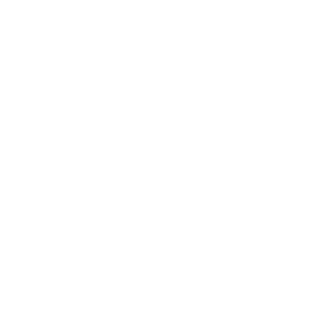 Gracious Tours and Travel